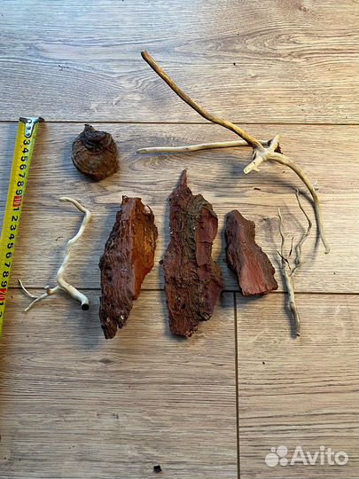 Дрифтвуд Коряги