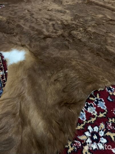 Натуральные Шкуры Коровы с Германии