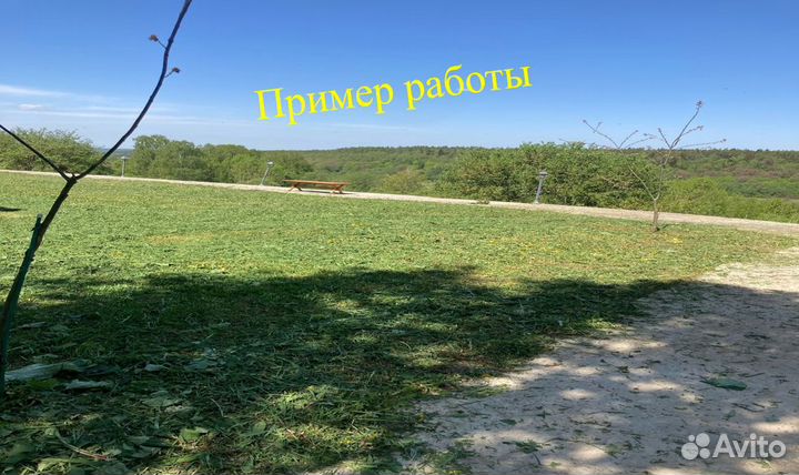 Покос травы