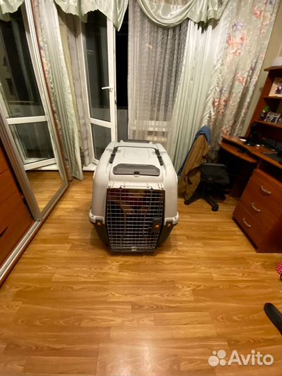 Клетка для собак