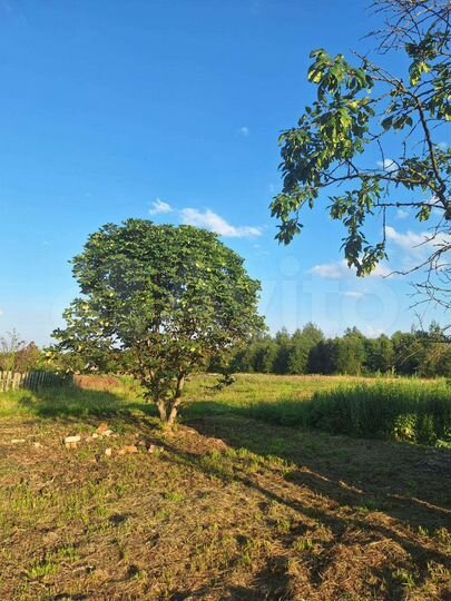 Дом 56 м² на участке 20 сот.