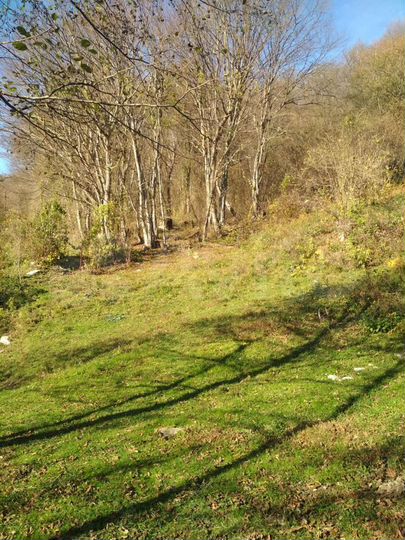 Участок 12 сот. (СНТ, ДНП)