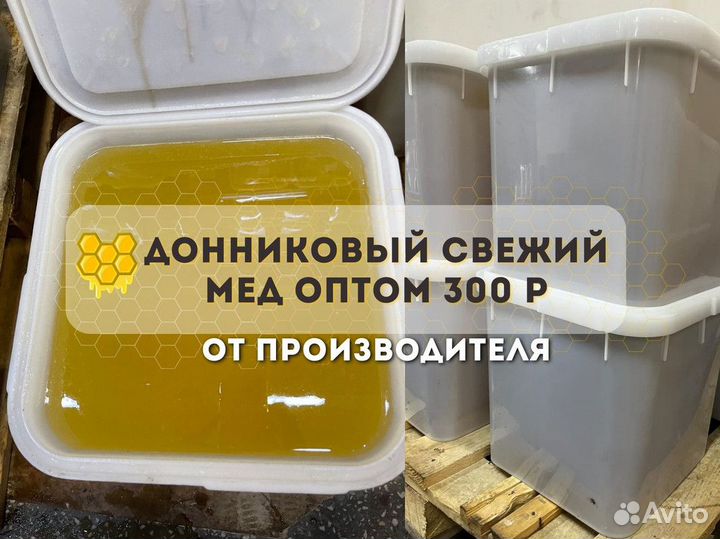 Донниковый свежий мёд оптом