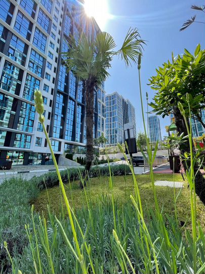 Квартира-студия, 24 м², 5/19 эт.