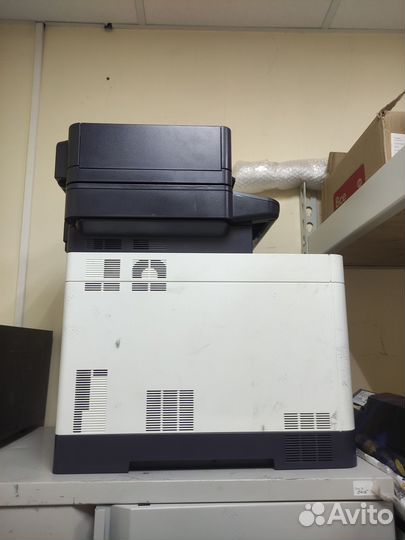 Kyocera ecosys M6030cdn: