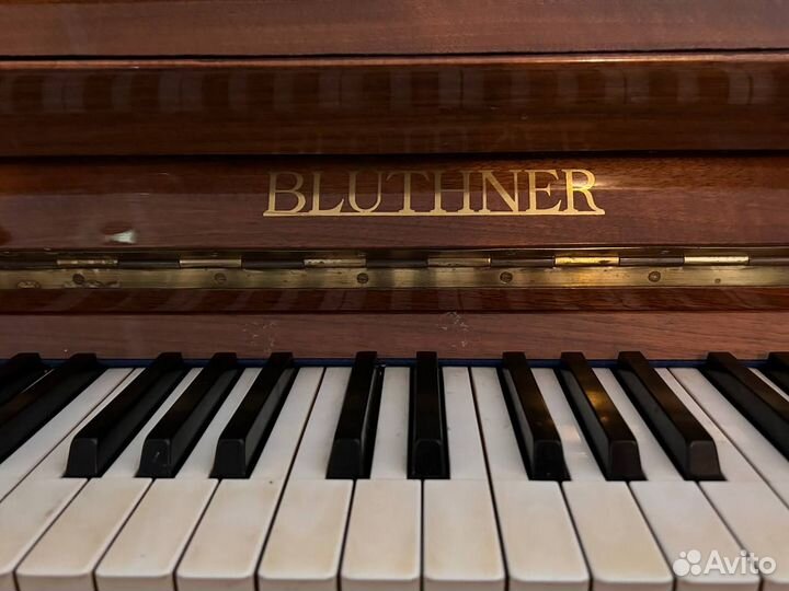 Фортепиано bluthner