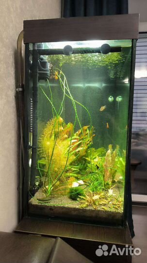 Аквариум