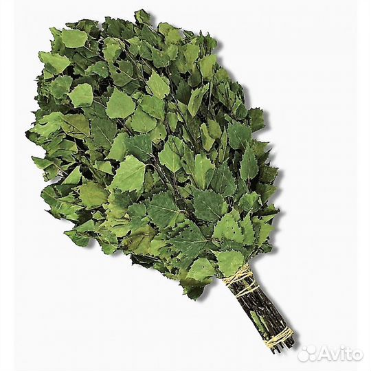 Березовые веники