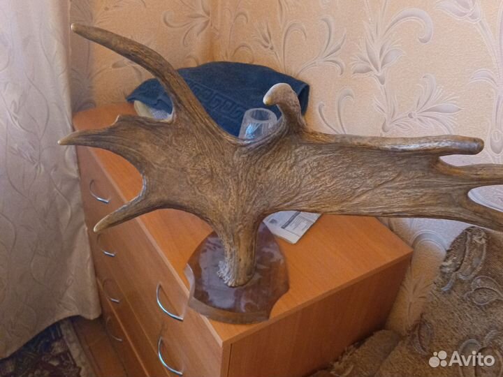 Продам рога-вешалку