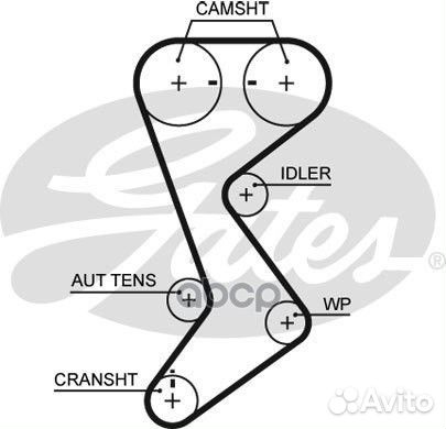 Ремень грм 146x280H Dodge Caravan/Stratus