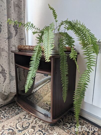 Тумбочка / шкафчик