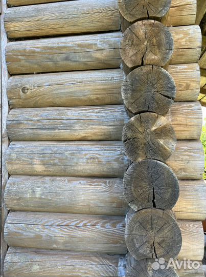 Сруб бани 6х6