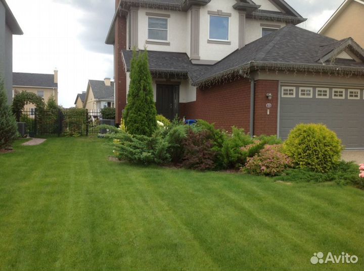 Рулонный газон под ключ от 100 м2