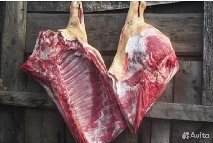 Мясо свинина домашняя