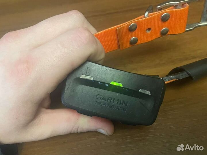 Gps ошейник для собак garmin t5