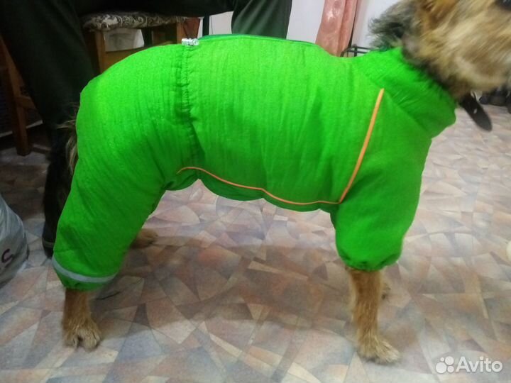 Одежда для собак
