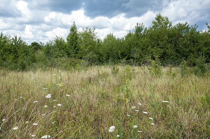 Участок 15 сот. (ИЖС)