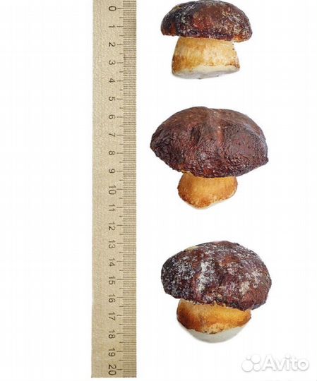 Белый гриб замороженный