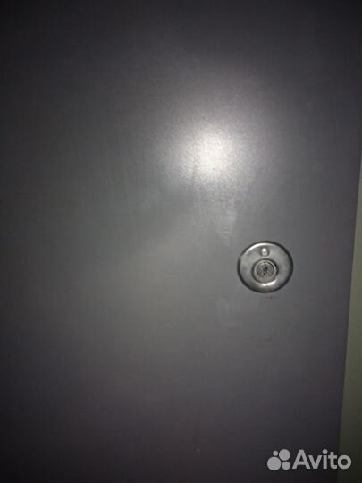 Дверь входная металлическая