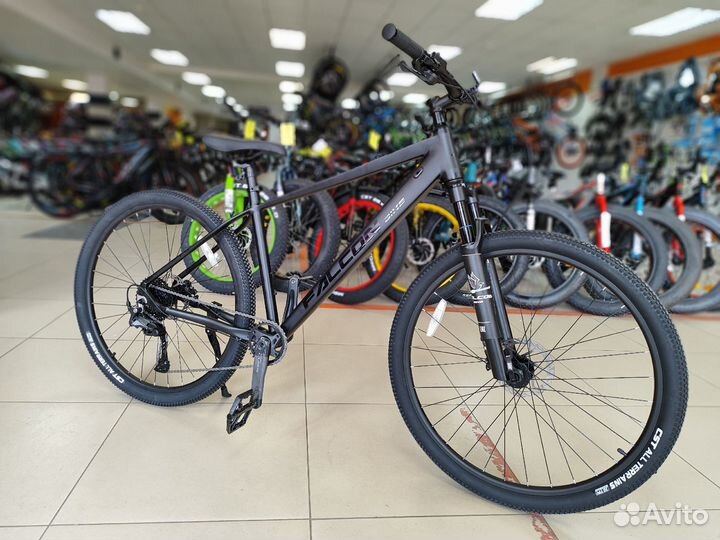 Горный велосипед Falcon Bike 29 Resolute 4.0