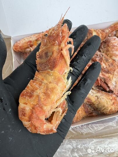 Медвежонок / редкие дальневосточные креветки