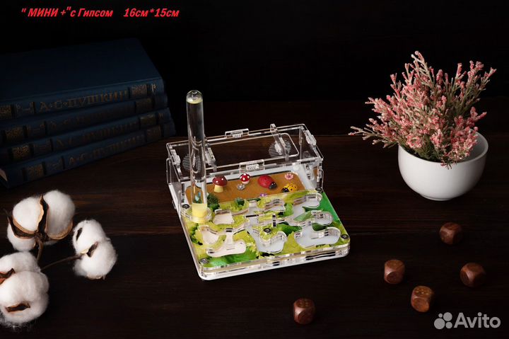 Муравьиная Ферма Мини + Формикарий с гипсом