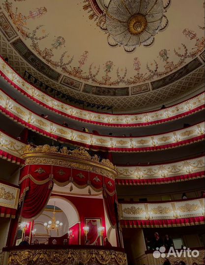 Льготные билеты в театры Санкт-Петербурга