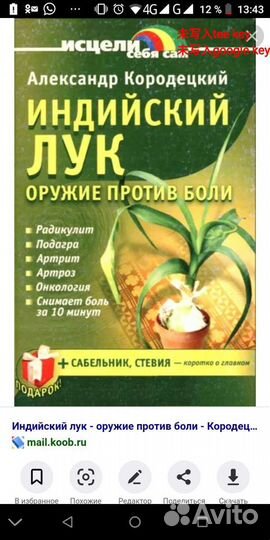 Лук китайский, птицемлечник