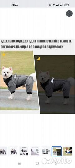 Комбинезон для собаки