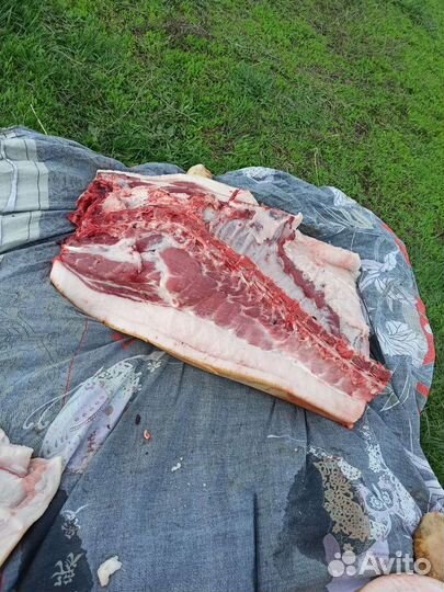 Продукты питания
