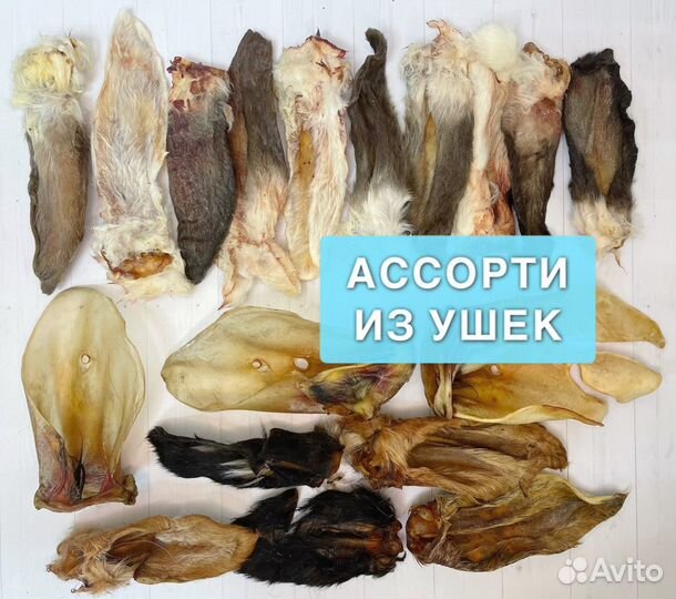 Сушёные лакомства для собак