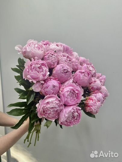 Розовые пионы, пионы доставки