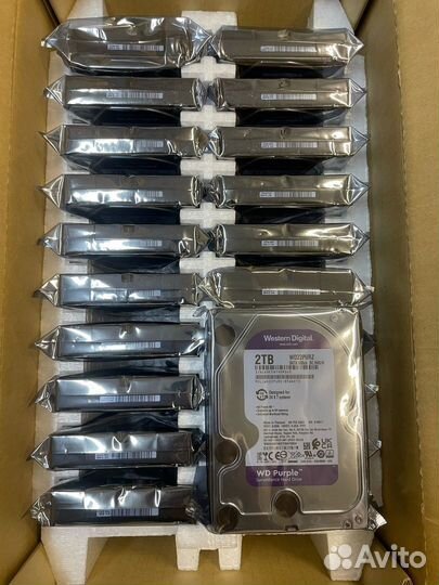 Western Digital Purple 2tb