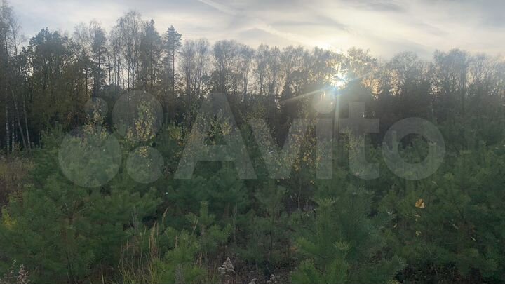 Участок 11,5 сот. (ИЖС)