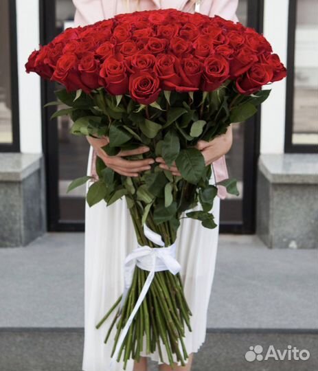 Высокие Розы Эквадор. Цветы с Доставкой