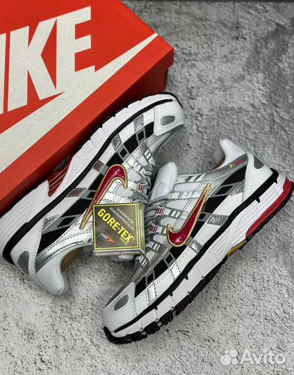 С Gore-Tex на ногах: кроссовки Nike p 6000