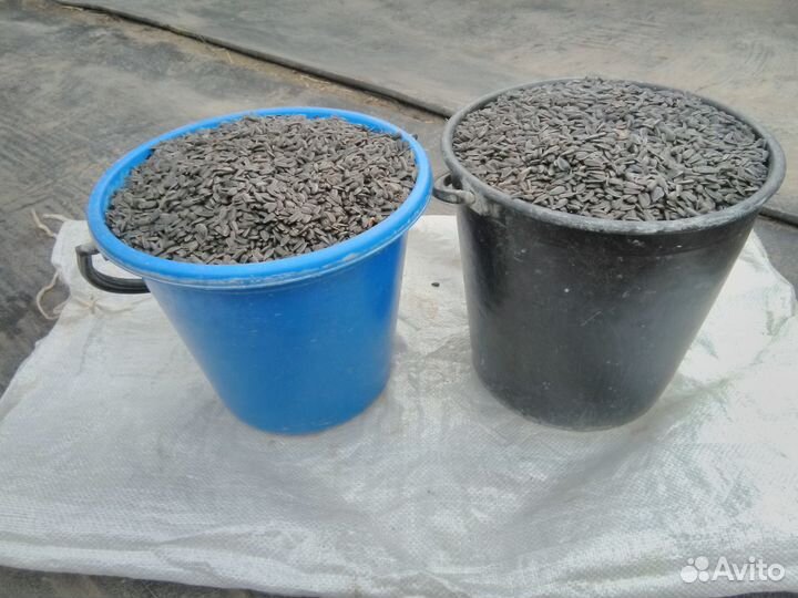 Корм для животных