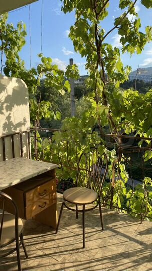 1-к. квартира, 27 м², 3/4 эт.