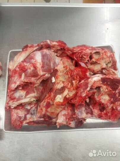 Мясо говядина для собак