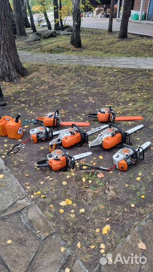 Спил деревьев, Полевской