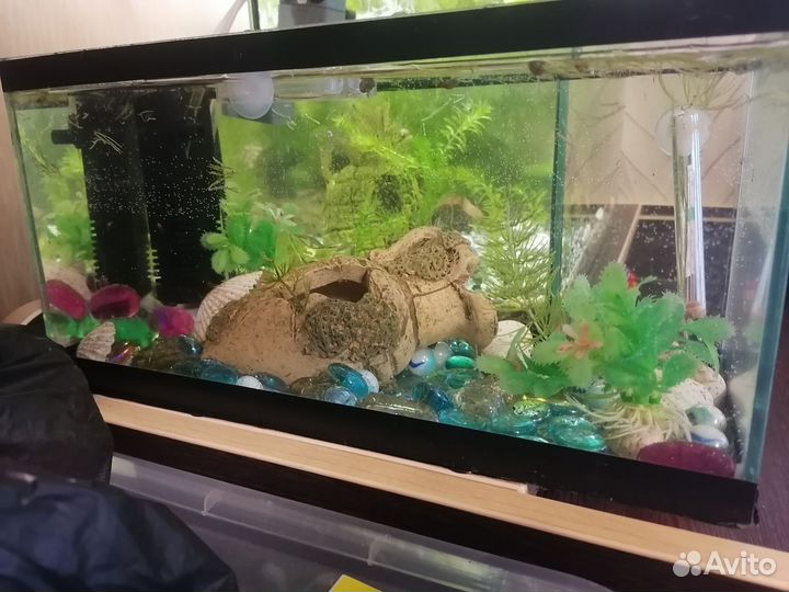 Аквариум объем 10 литров