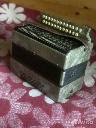 Гармонь чайка 2