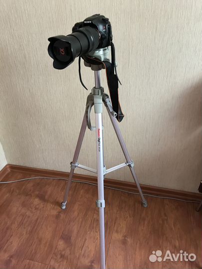 Фотоаппарат sony