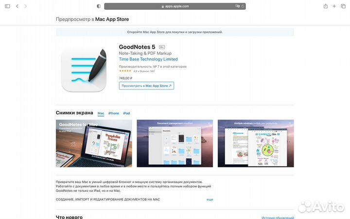 iPad Pencil/ Procreate +1/ LumaFusion/ Goodnotes 5