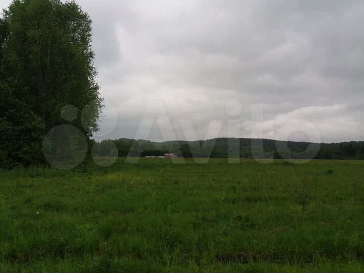 Участок 6 га (СНТ, ДНП)