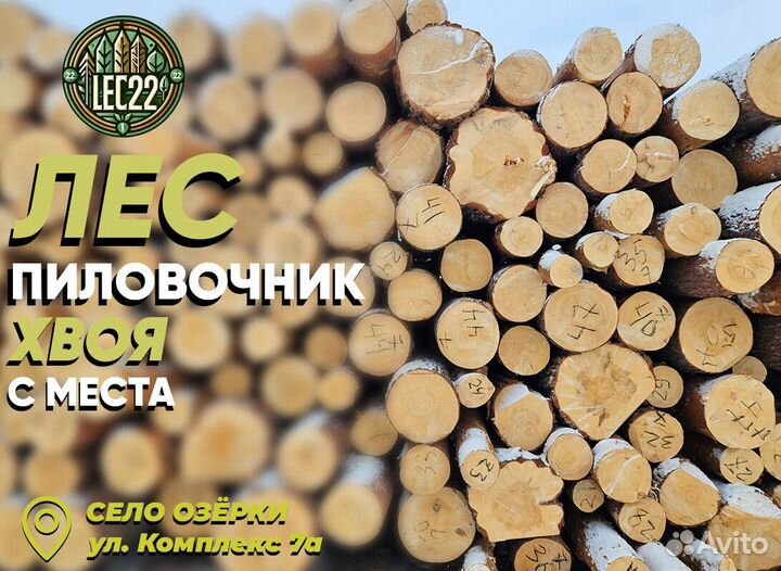 Лес кругляк с промежутки