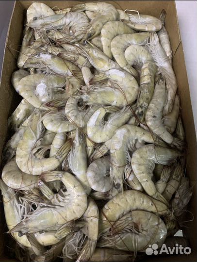 Креветки Ваннамей Лангустины Мидии Кальмар Чука