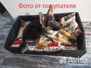 Лежанка для больших собак, 70*110 см