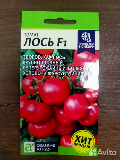 Семена томатов от Семян Алтая (Мамонтенок, Лось)