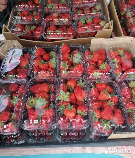 Клубника ведро 5л